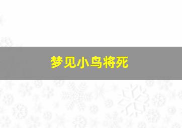 梦见小鸟将死