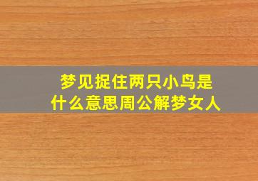 梦见捉住两只小鸟是什么意思周公解梦女人