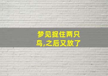 梦见捉住两只鸟,之后又放了