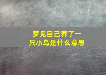 梦见自己养了一只小鸟是什么意思