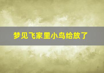 梦见飞家里小鸟给放了