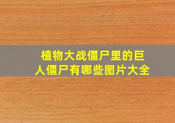 植物大战僵尸里的巨人僵尸有哪些图片大全