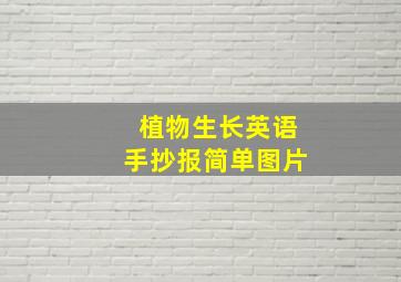 植物生长英语手抄报简单图片