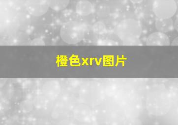 橙色xrv图片