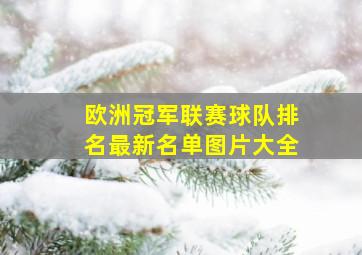 欧洲冠军联赛球队排名最新名单图片大全