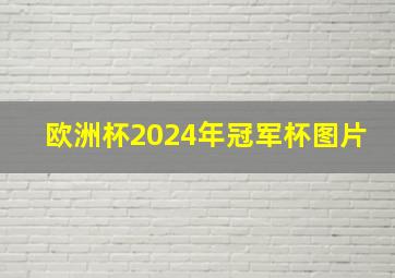 欧洲杯2024年冠军杯图片