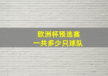 欧洲杯预选赛一共多少只球队