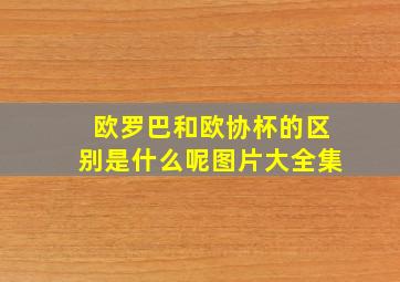 欧罗巴和欧协杯的区别是什么呢图片大全集