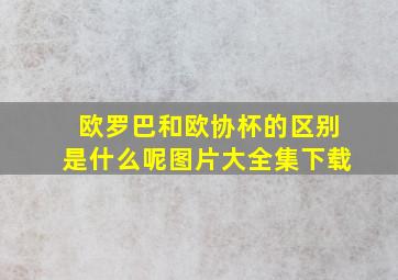 欧罗巴和欧协杯的区别是什么呢图片大全集下载