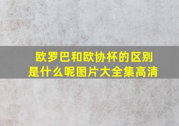 欧罗巴和欧协杯的区别是什么呢图片大全集高清