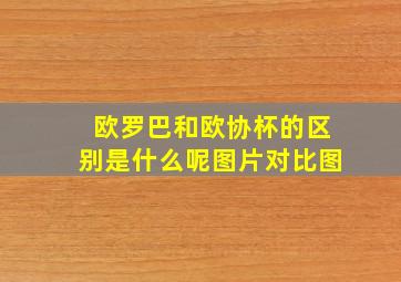 欧罗巴和欧协杯的区别是什么呢图片对比图