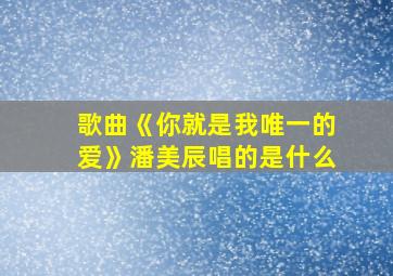 歌曲《你就是我唯一的爱》潘美辰唱的是什么