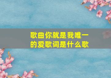 歌曲你就是我唯一的爱歌词是什么歌