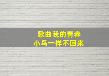 歌曲我的青春小鸟一样不回来