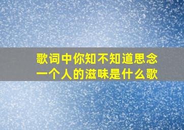 歌词中你知不知道思念一个人的滋味是什么歌