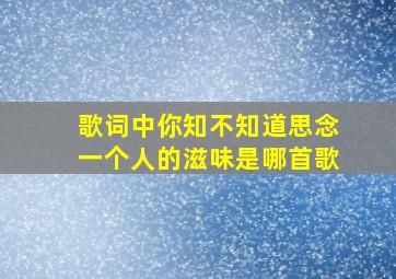 歌词中你知不知道思念一个人的滋味是哪首歌