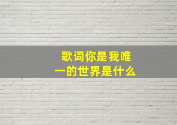 歌词你是我唯一的世界是什么