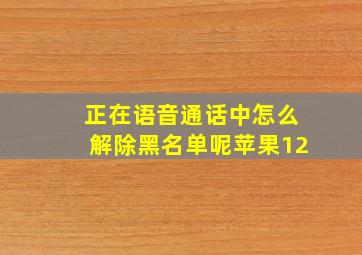 正在语音通话中怎么解除黑名单呢苹果12