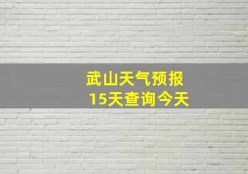 武山天气预报15天查询今天