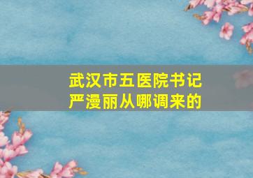 武汉市五医院书记严漫丽从哪调来的