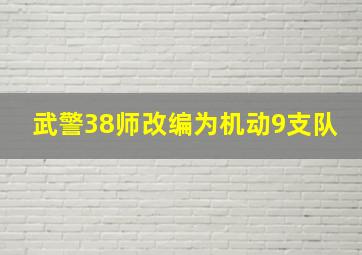 武警38师改编为机动9支队