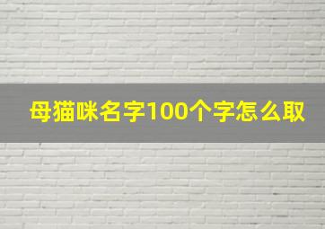 母猫咪名字100个字怎么取