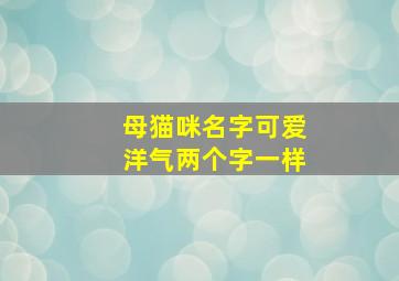 母猫咪名字可爱洋气两个字一样