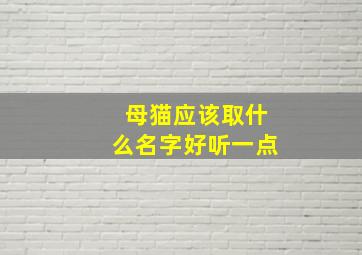 母猫应该取什么名字好听一点