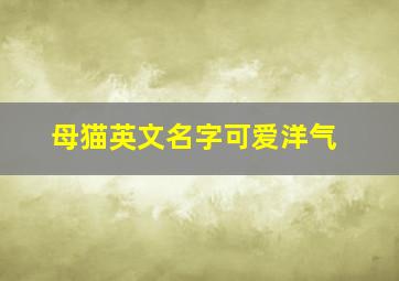 母猫英文名字可爱洋气