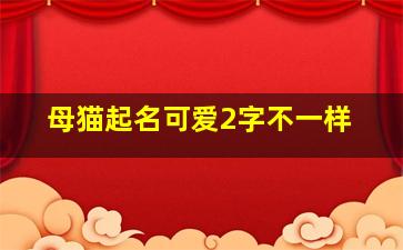 母猫起名可爱2字不一样