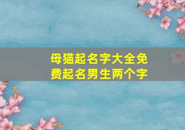 母猫起名字大全免费起名男生两个字