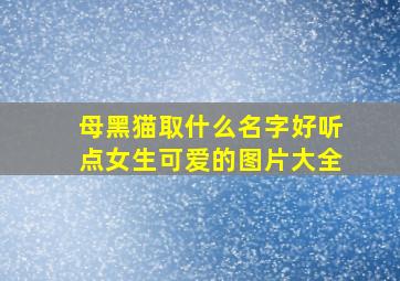 母黑猫取什么名字好听点女生可爱的图片大全