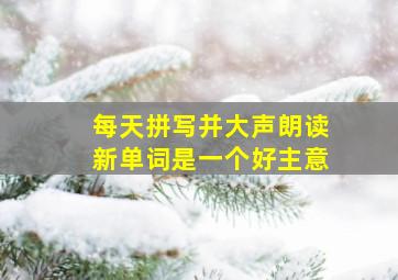 每天拼写并大声朗读新单词是一个好主意