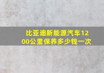 比亚迪新能源汽车1200公里保养多少钱一次