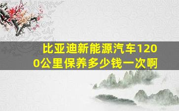 比亚迪新能源汽车1200公里保养多少钱一次啊