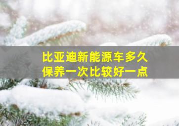 比亚迪新能源车多久保养一次比较好一点