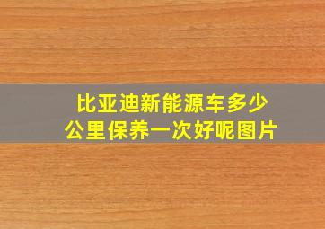 比亚迪新能源车多少公里保养一次好呢图片