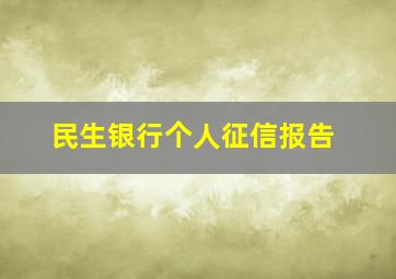 民生银行个人征信报告