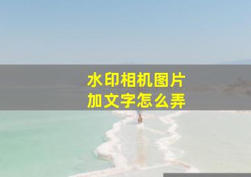 水印相机图片加文字怎么弄