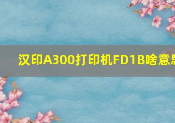 汉印A300打印机FD1B啥意思