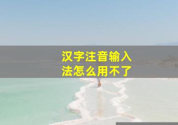 汉字注音输入法怎么用不了