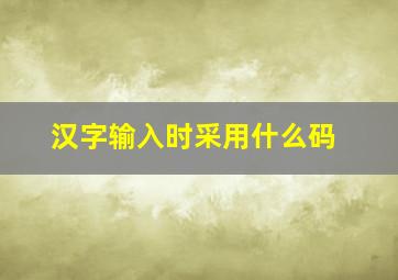 汉字输入时采用什么码