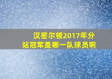 汉密尔顿2017年分站冠军是哪一队球员啊