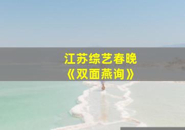 江苏综艺春晚《双面燕询》