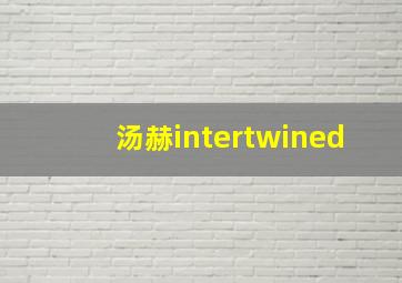 汤赫intertwined