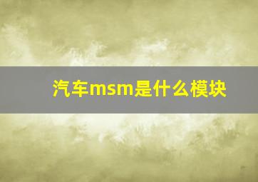 汽车msm是什么模块