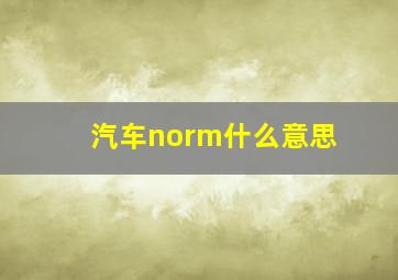 汽车norm什么意思