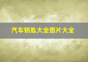 汽车钥匙大全图片大全