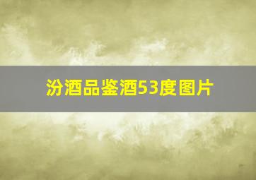 汾酒品鉴酒53度图片