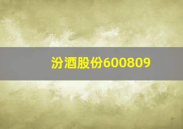 汾酒股份600809